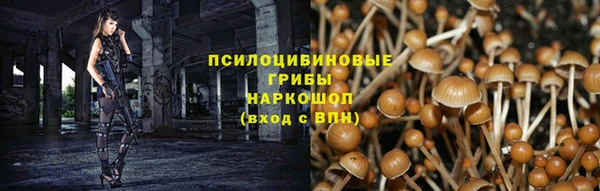 не бодяженный Белокуриха